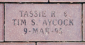 Tassie & Tim Aycock