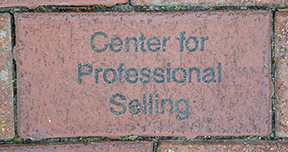 Center for Professional