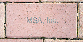 MSA Inc. 