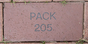 Pack 205
