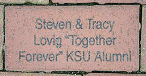 Steven & Tracy
