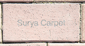 Surya Carpet