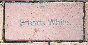 Brenda Whiye