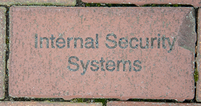 Internal Security Systems