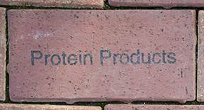 Protein Products