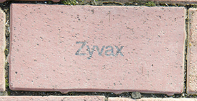 Zyvax